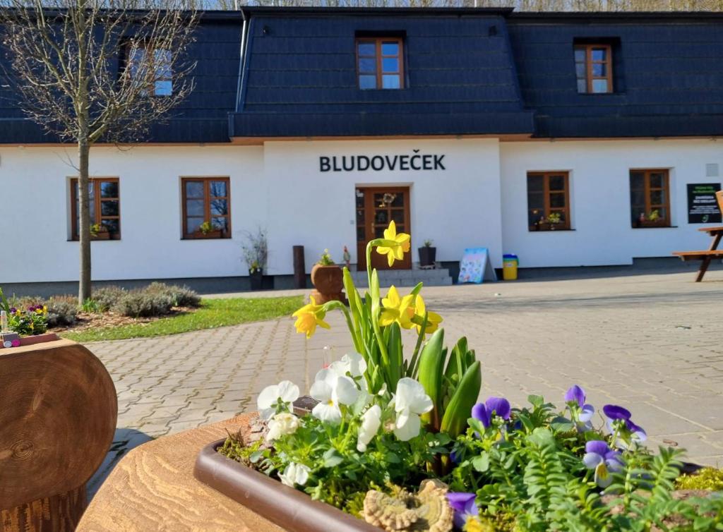 Zahrada ubytování Restaurace a Penzion Bludoveček