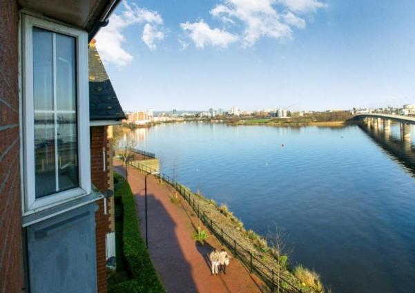 een hond op een stoep naast een waterlichaam bij Campbell Apartment in Cardiff