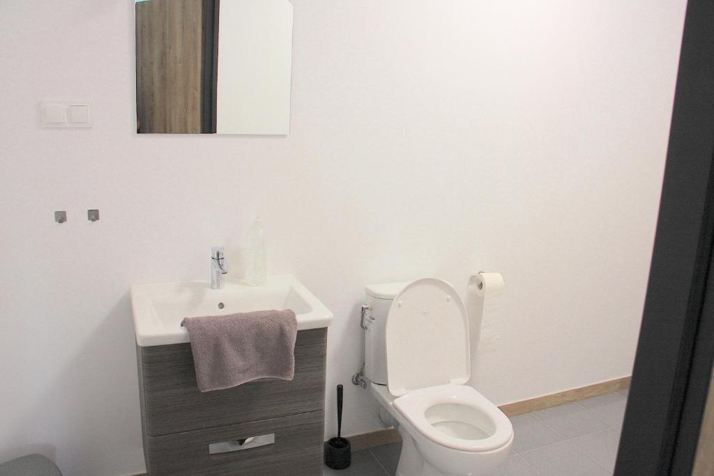 Koupelna v ubytování Apartamenty Kwiat Jabłoni