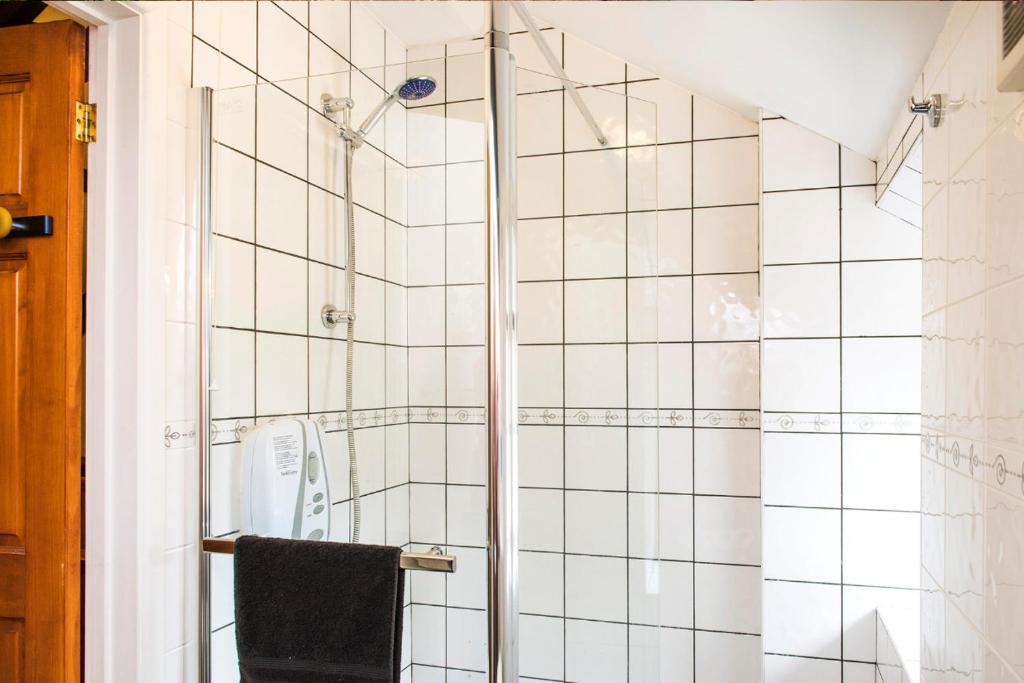 a shower with a glass door in a bathroom at Mill Cottage - Great Houndbeare Farm Holiday Cottages in Aylesbeare