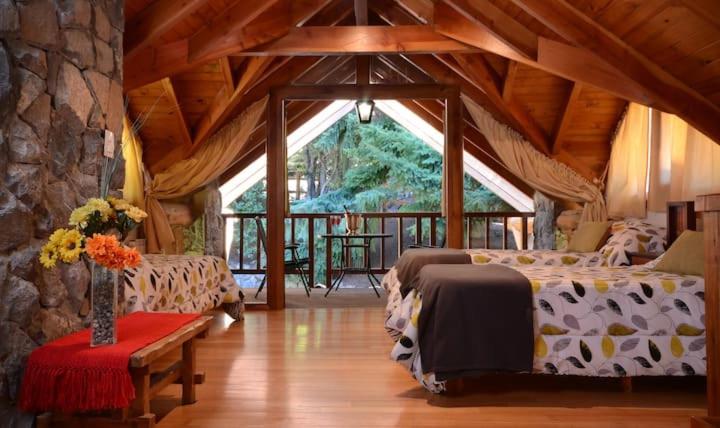 Traful house