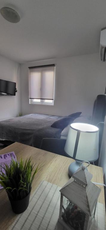 ein Schlafzimmer mit einem Bett und einem Tisch mit einer Lampe in der Unterkunft Studio Milica in Vrnjačka Banja