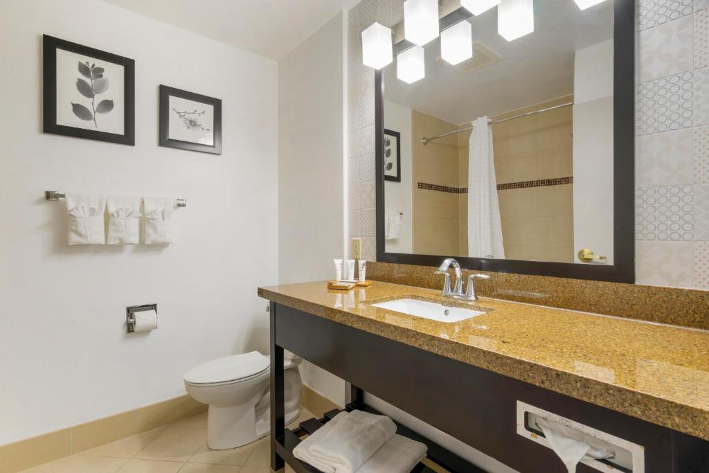 Country Inn & Suites by Radisson, Tampa Airport North, FL - Chambre Queen Avec Deux Lits Queen - Non-fumeur