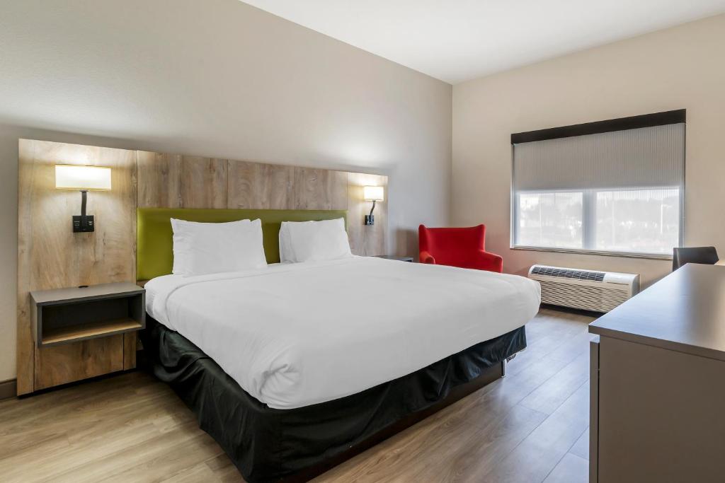 Country Inn & Suites by Radisson, Tampa Airport North, FL - Suite King D'une Chambre Avec Canapé-lit - Non-fumeur