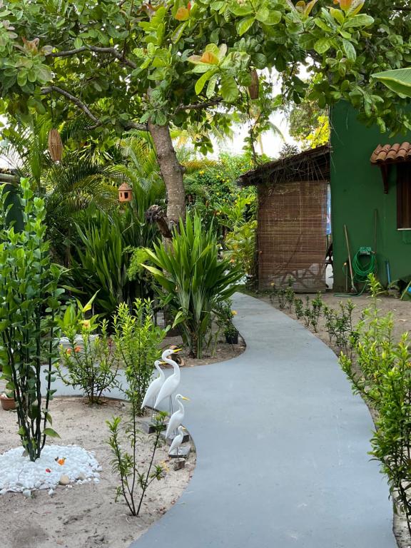 Zahrada ubytování Chales Canto dos Pássaros Boipeba