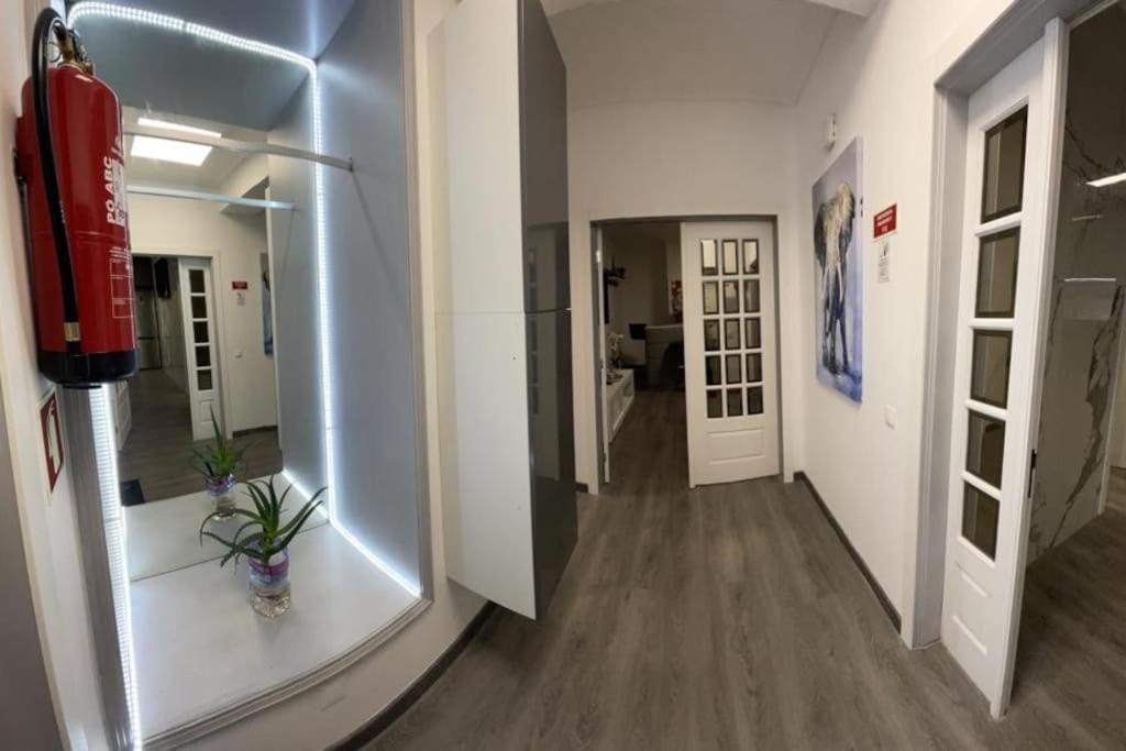 a hallway of an office with a mirror and a plant at Coração de Furadouro in Ovar