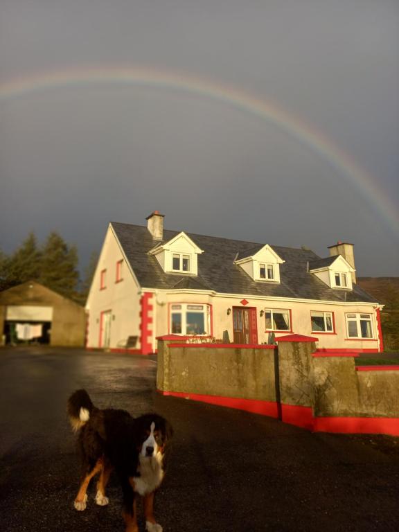 a brown and white dog standing in front of a house at Kelmin House in Letterkenny