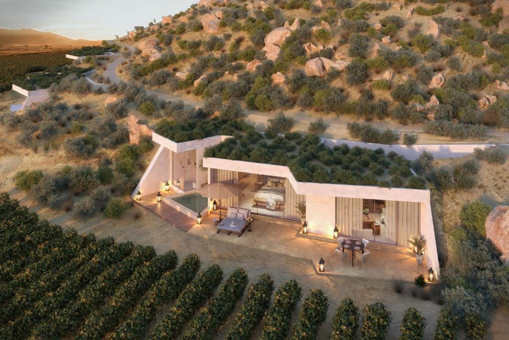 an aerial view of a house in a vineyard at Banyan Tree Veya, Valle de Guadalupe in Valle de Guadalupe