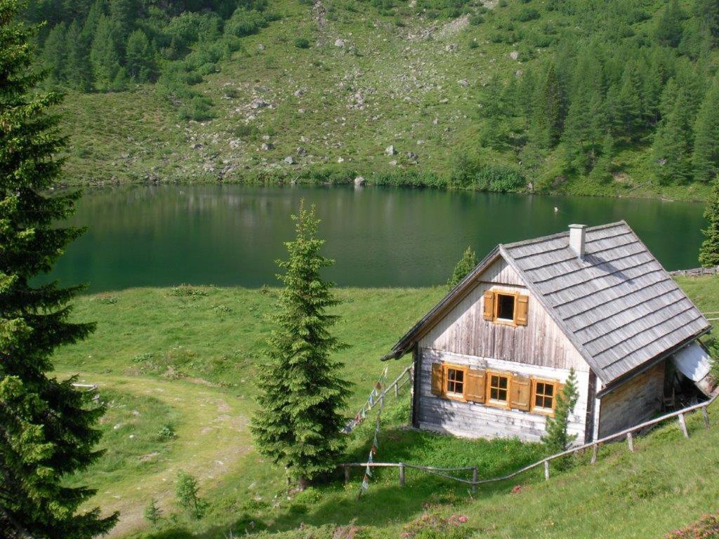 a small house on a hill next to a lake at Almhütte am Wirpitschsee in Weisspriach