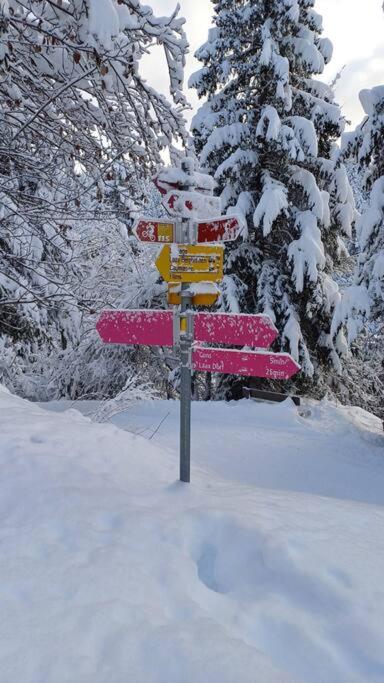 Comfortable apartment near the ski station with parking v zimě