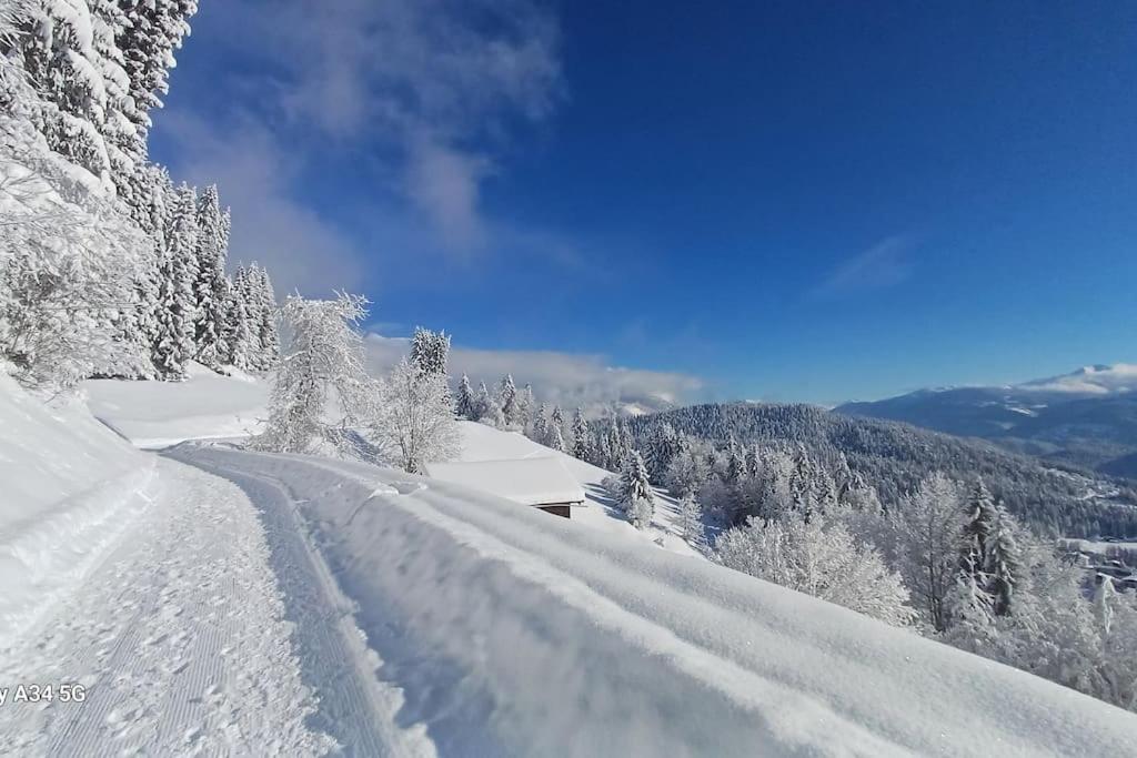 Comfortable apartment near the ski station with parking v zimě
