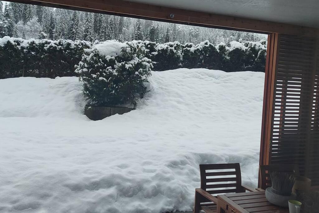 Comfortable apartment near the ski station with parking v zimě