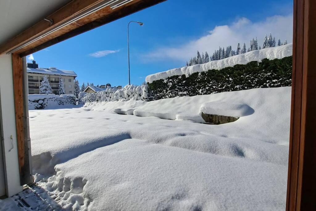 Comfortable apartment near the ski station with parking v zimě