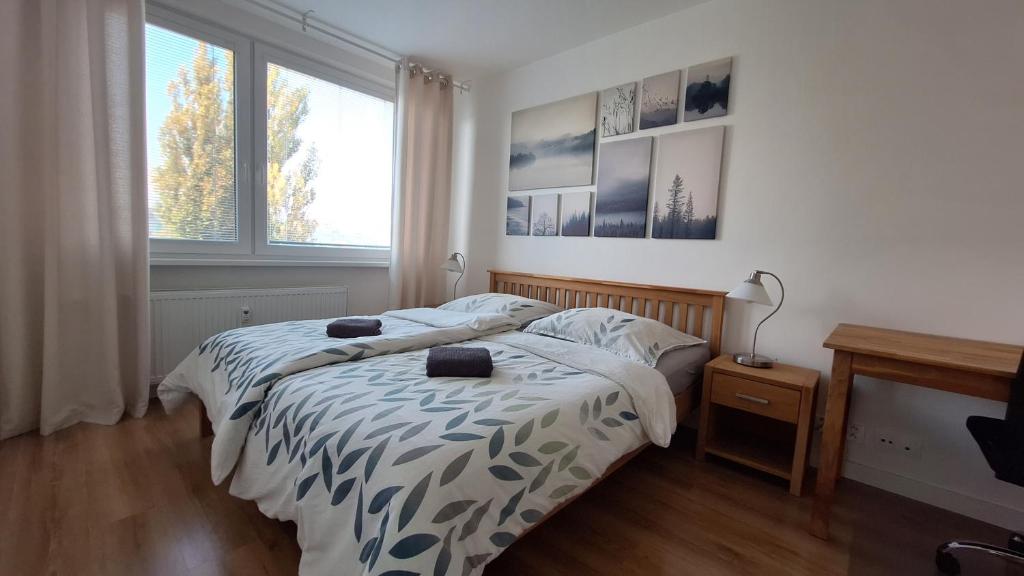 een slaapkamer met een bed en een raam bij Spacious apartment in the park in Košice