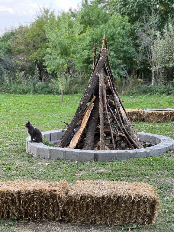 Fotografie z fotogalerie ubytování Blaje v destinaci Breaza de Jos
