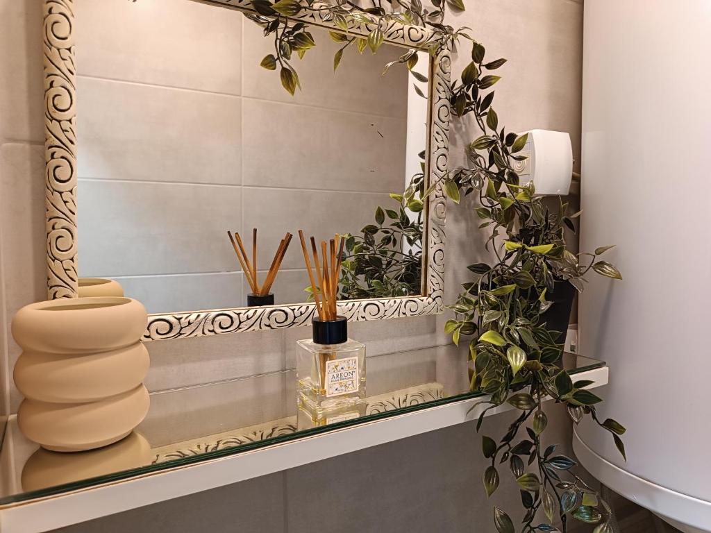 a mirror on a shelf in a bathroom with plants at M Central Park in Niš