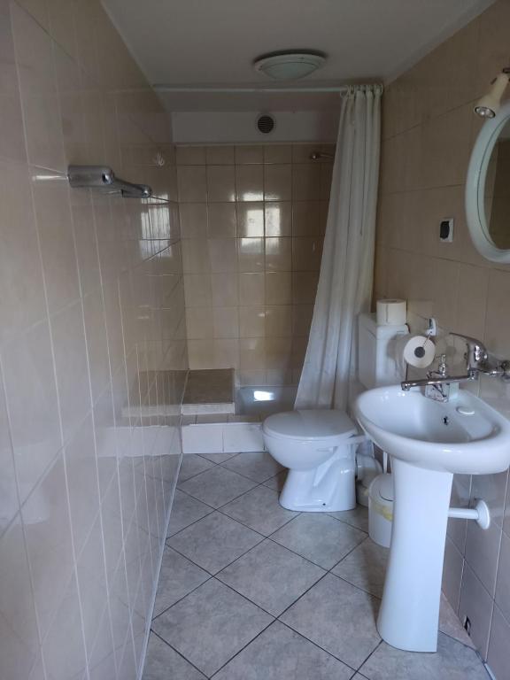 a bathroom with a sink and a toilet and a shower at Noclegi Beskidzkie in Korbielów