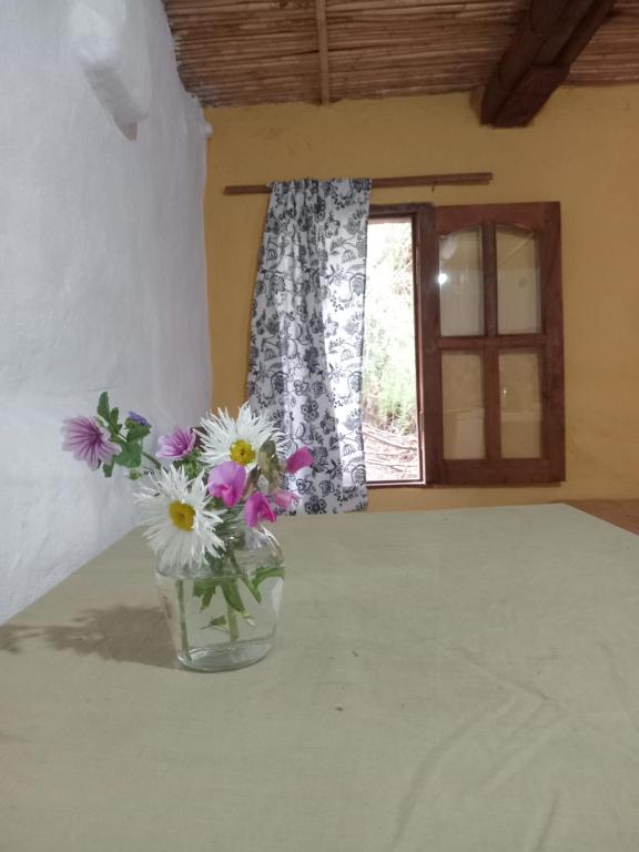 Photo de la galerie de l'établissement Habitacion doble con baño privado, à Tilcara