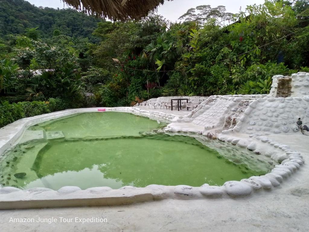 een groot zwembad met groen water bovenop een veld bij Amazon Jungle Tour Expedition in Tena
