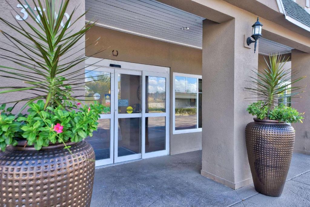 twee grote potten planten voor een gebouw bij Country Inn & Suites by Radisson Ocala Southwest in Ocala