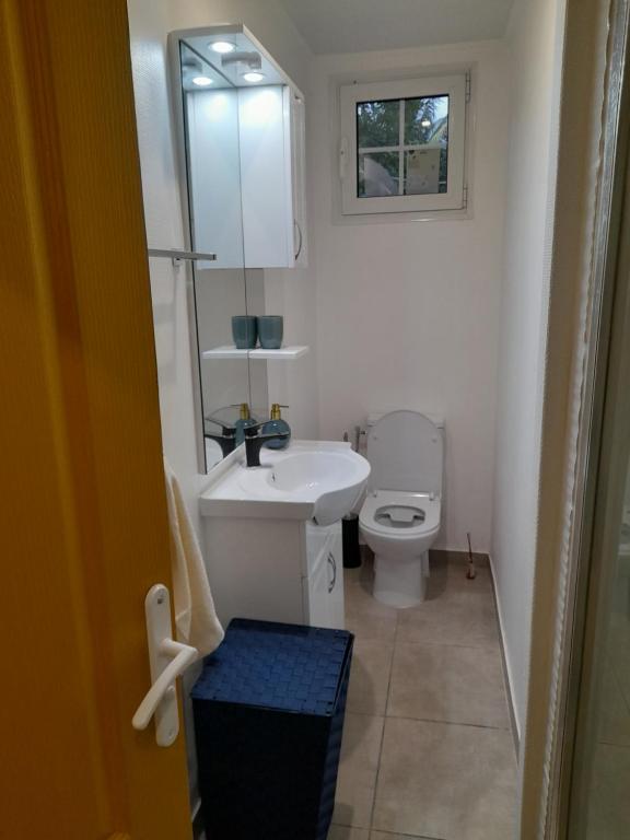 un bagno con un lavandino bianco e un water di canelle a Le Diamant