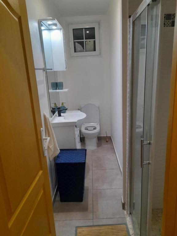 un bagno con wc, lavandino e doccia di canelle a Le Diamant