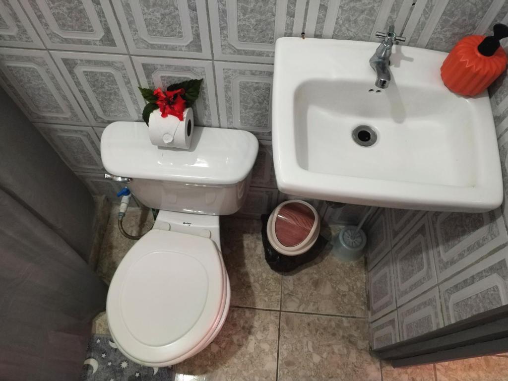 a bathroom with a white toilet and a sink at Anluka-House # 2 in Puerto Jiménez