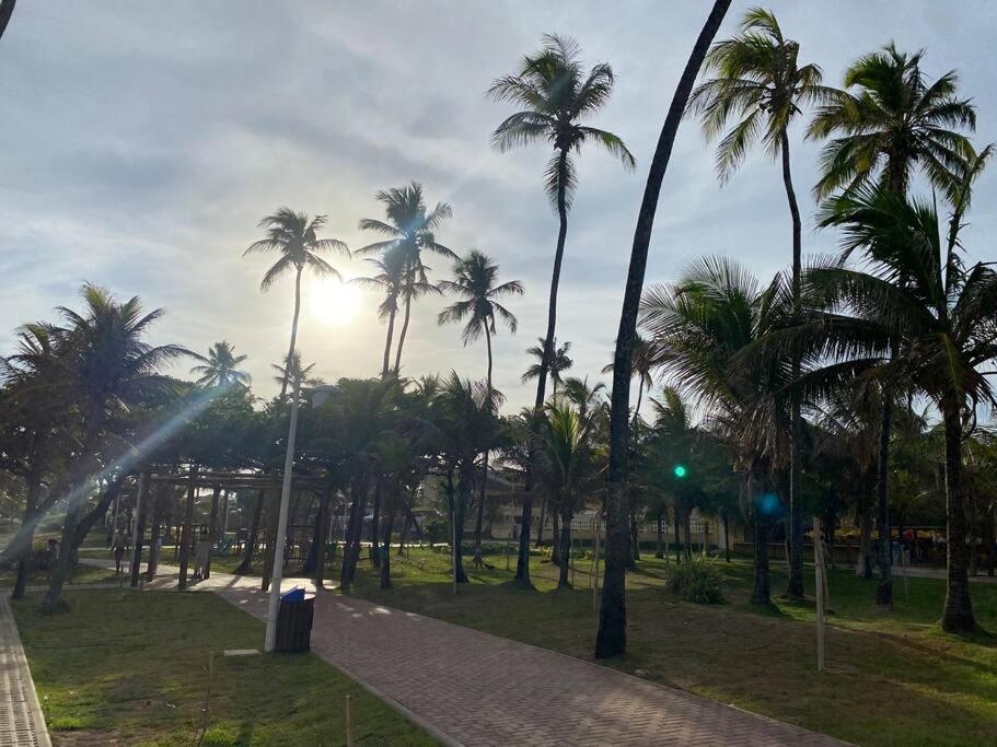 a group of palm trees in a park with a path at Casa em Praia do Flamengo - Salvador in Salvador