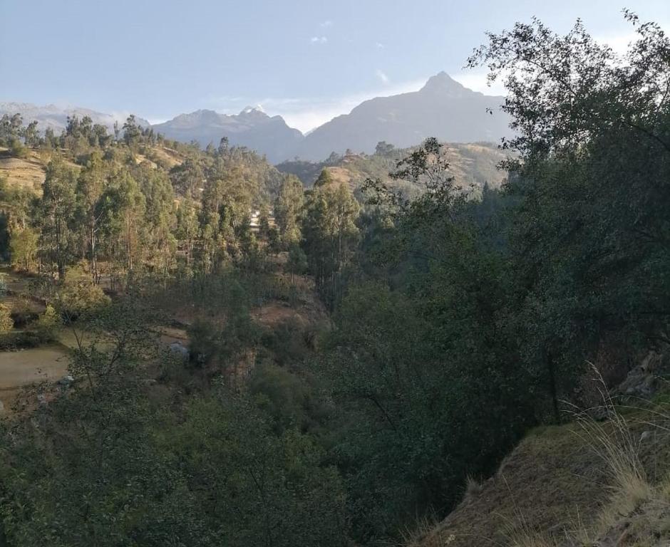 Vue sur une forêt avec des montagnes en arrière-plan dans l'établissement Pitec Hostel Lodge, à Huaraz