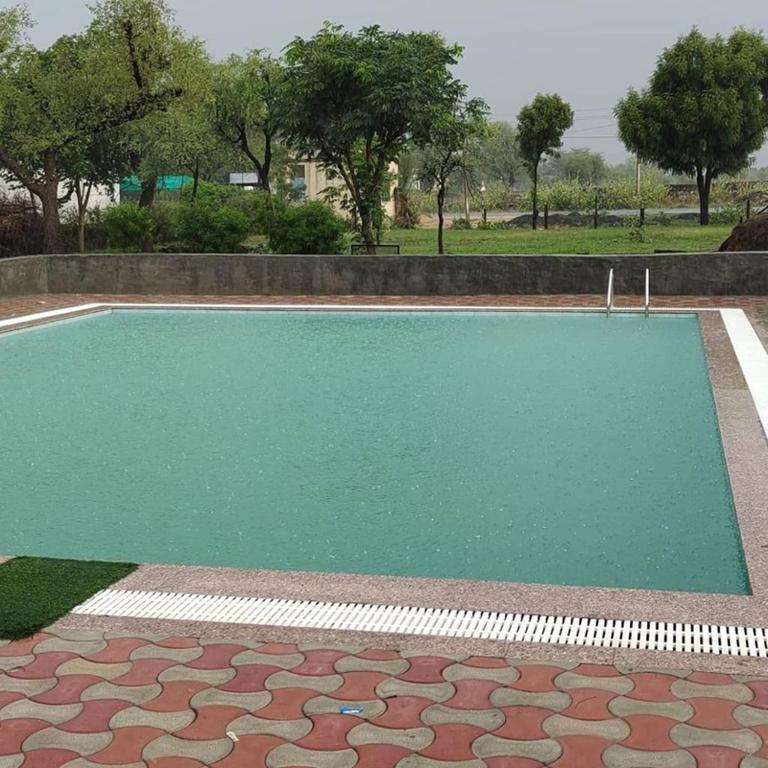 a swimming pool with green water in a park at Hotel Ajitgarh in Jhunjhunūn