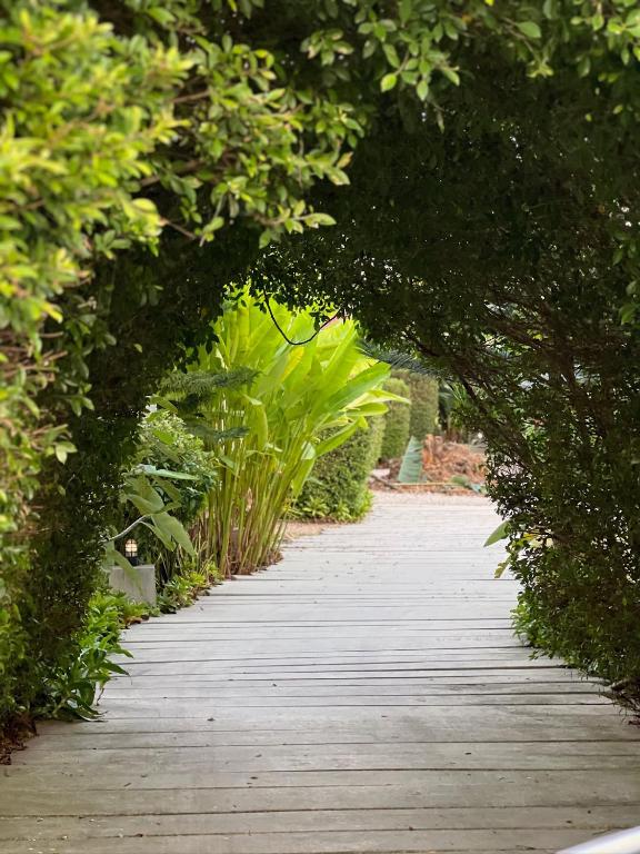 The Canopy Krabi - Resim 15