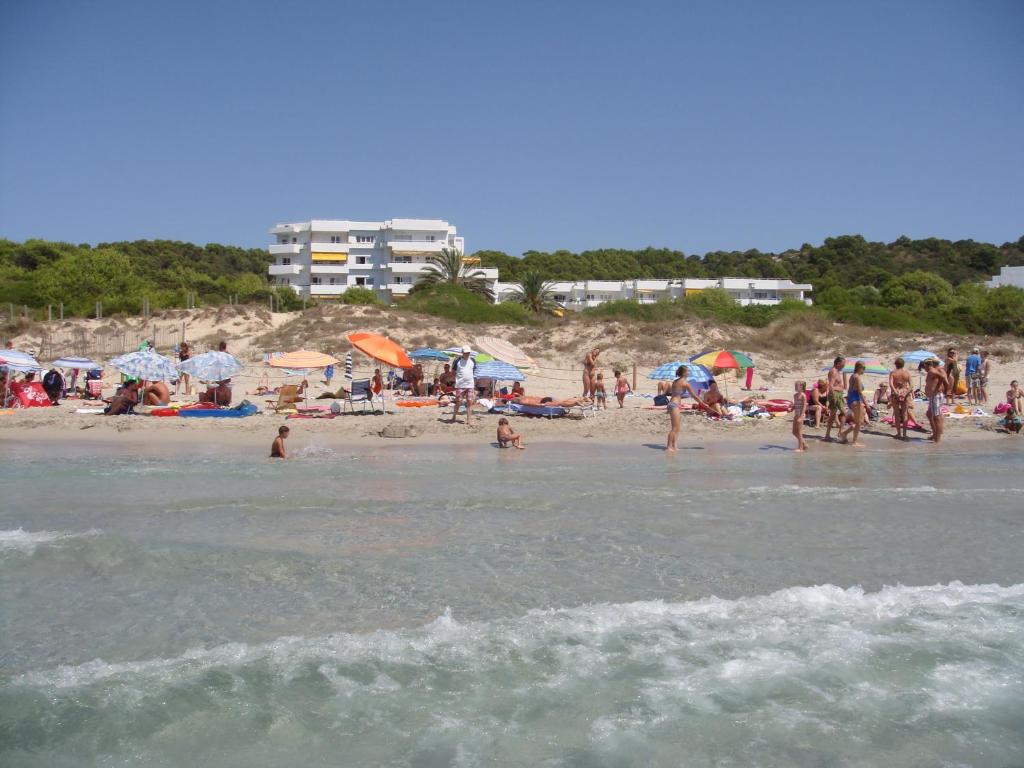 een groep mensen op een strand met parasols bij Hamilton Court in Santo Tomás