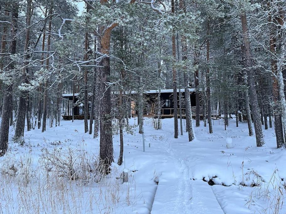una baita nel bosco nella neve di A unique lakeside cottage a Rovaniemi