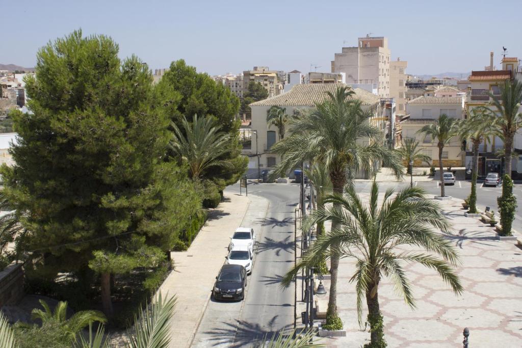 une rue avec des voitures garées et des palmiers dans une ville dans l'établissement Hotel la Parrilla, à Albox