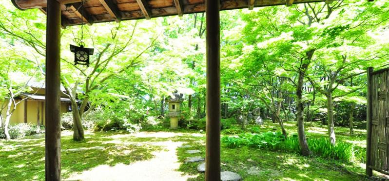 Ryokan Imai外面的花园
