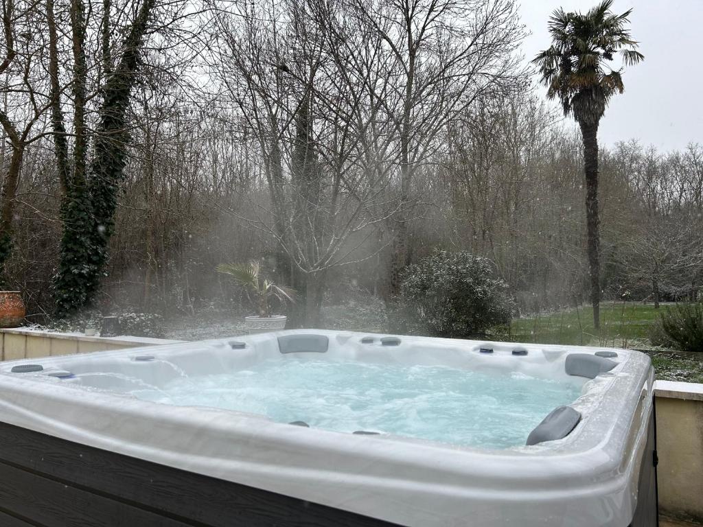 eine Whirlpool-Badewanne im Hof mit Fenster in der Unterkunft Le Bon Ami in Fronsac