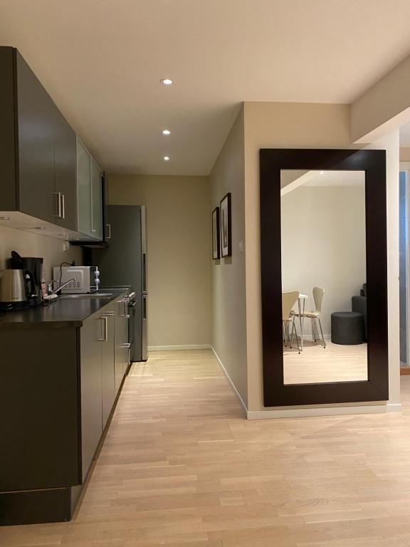 Enter Viking Apartment Hotel - Appartamento Con Una Camera Da Letto