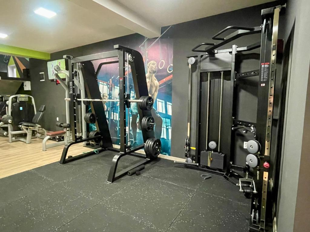 Fitness centrum a/nebo fitness zařízení v ubytování Duplex Oasis Ada