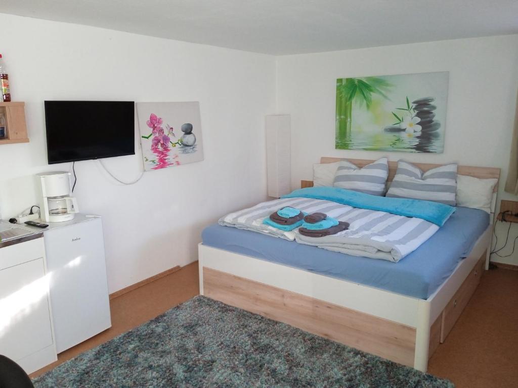 a bedroom with a bed with a flat screen tv at Kleine Unterkunft für Selbstversorger in Nuremberg