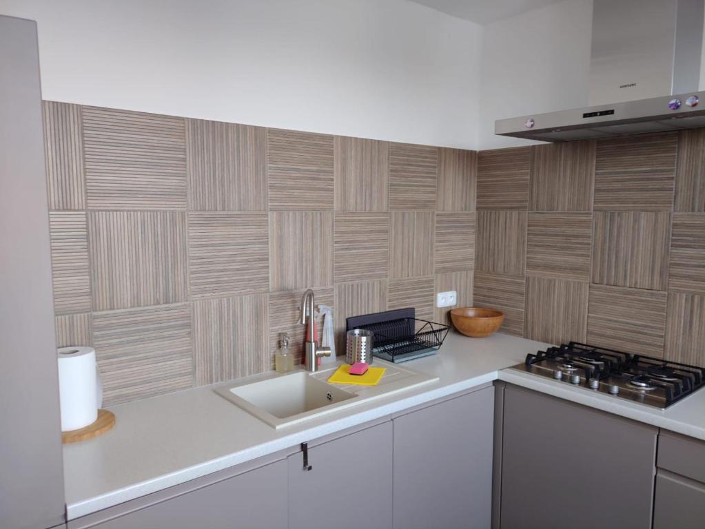 a kitchen with a sink and a wooden wall at Roses Apartment in Frýdek-Místek