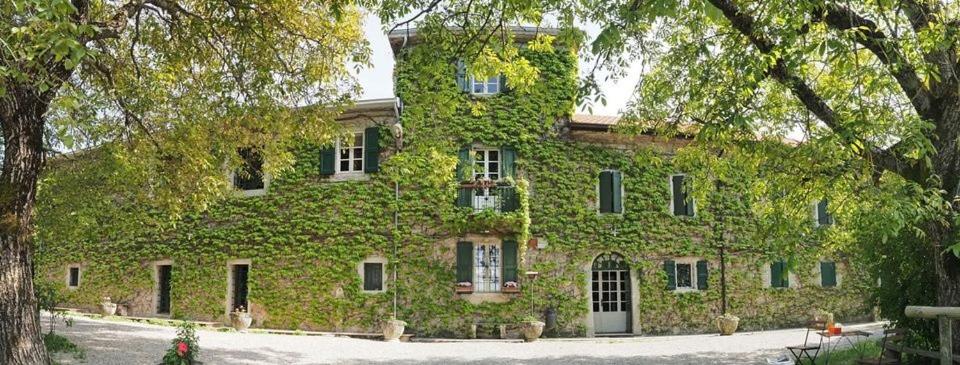 a building covered in green ivy at Agriturismo Casanuova in Carobbio