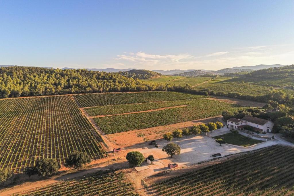 an aerial view of a vineyard and a house in a field at Domaine De Sigalous in La Crau