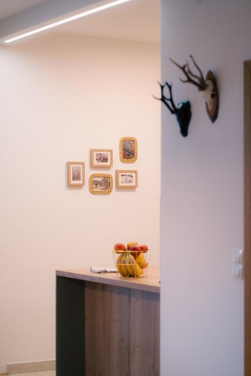 Fotografie z fotogalerie ubytování Peak Haven apartments, Pohorje v destinaci Hočko Pohorje
