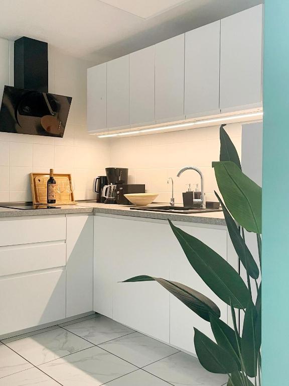 Kuchyňa alebo kuchynka v ubytovaní Apartament Casa Milo playa Los Locos
