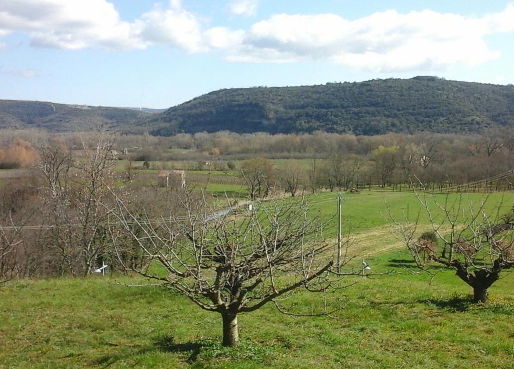 two trees in a field with a mountain in the background at Gîte Amour D&#39;ardèche in Saint-Sernin
