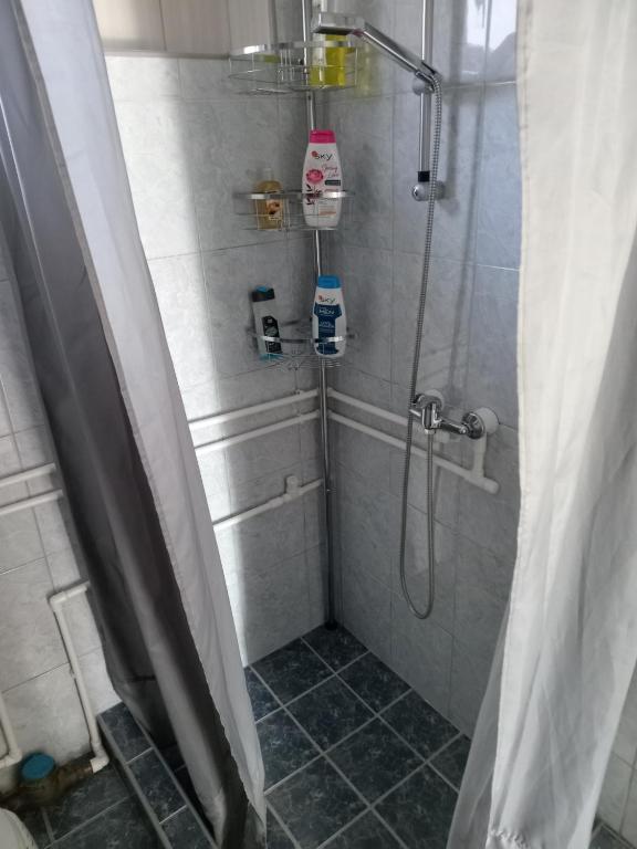 Vannituba majutusasutuses APARTMAN “POD KRALJEVICOM”