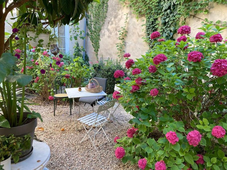 Taman di luar Appartement dans un immeuble historique avec cour