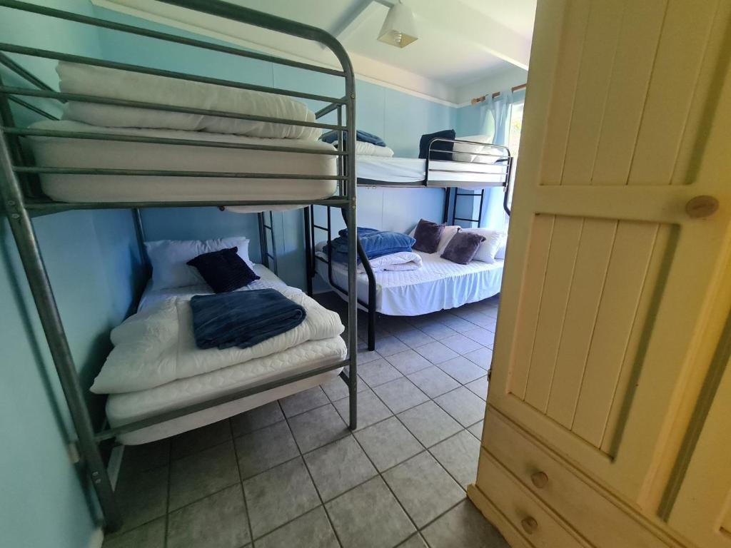 Zimmer mit 2 Etagenbetten in einem Zimmer in der Unterkunft Kookaburra Lodge in Lock Sport