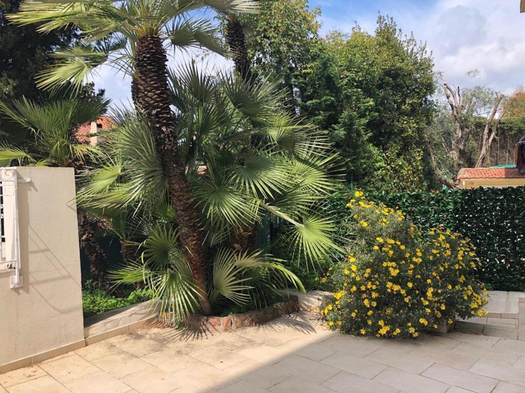 un palmier et des fleurs dans un jardin dans l'établissement Villa avec Jardin à 5 min de marche du centre de Cannes et plages, à Cannes