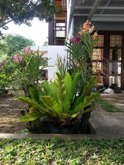 Suitetrails - Casa Erlinda, modern newly built house 3BR for 8!